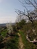Conques Pampelune 2012 avril photo_008.jpg